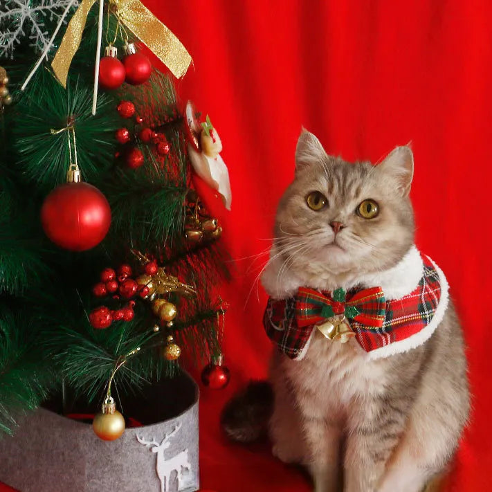 Lenço de Natal de gato